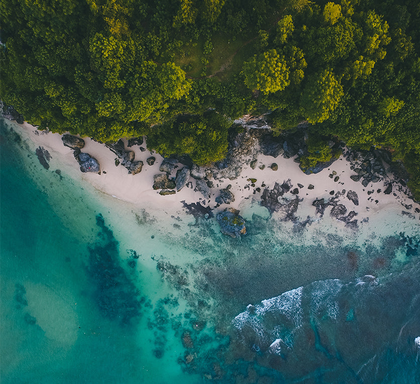 Planet Positive Packaging