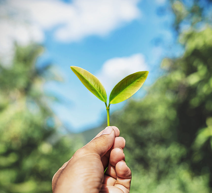 Sustainable By Design